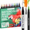 ARTISTRO 48 Watercolor Markers with Flexible Paint Brush Pens for Pros & Beginners – Consistent, Smooth, Bright, Washable, Non-Toxic, Ideal for Coloring, Calligraphy, & Manga(12 Brush Tip)