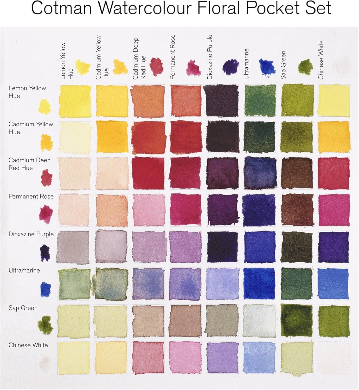 imageWinsor ampamp Newton Cotman Watercolor Paint Set 8 Half Pan Floral Colors w Brush8 Half Pan Floral Colors