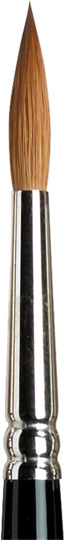 imageWinsor ampamp Newton Series 7 Kolinsky Sable Brush Round SH 76