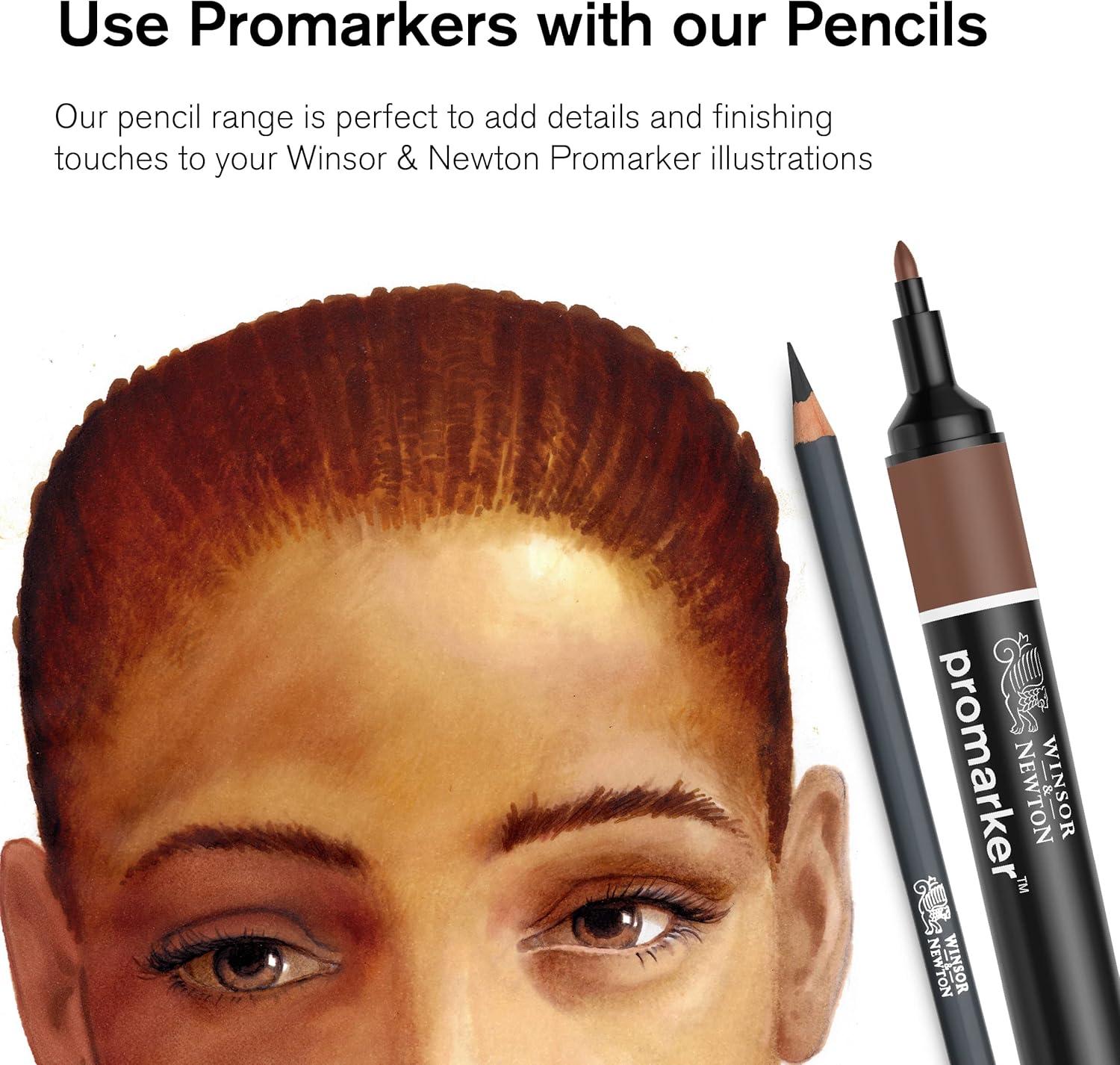 imageWinsor ampamp Newton Studio Collection Artist Pencils Graphite Pencils Set of 1212 Graphite Pencils