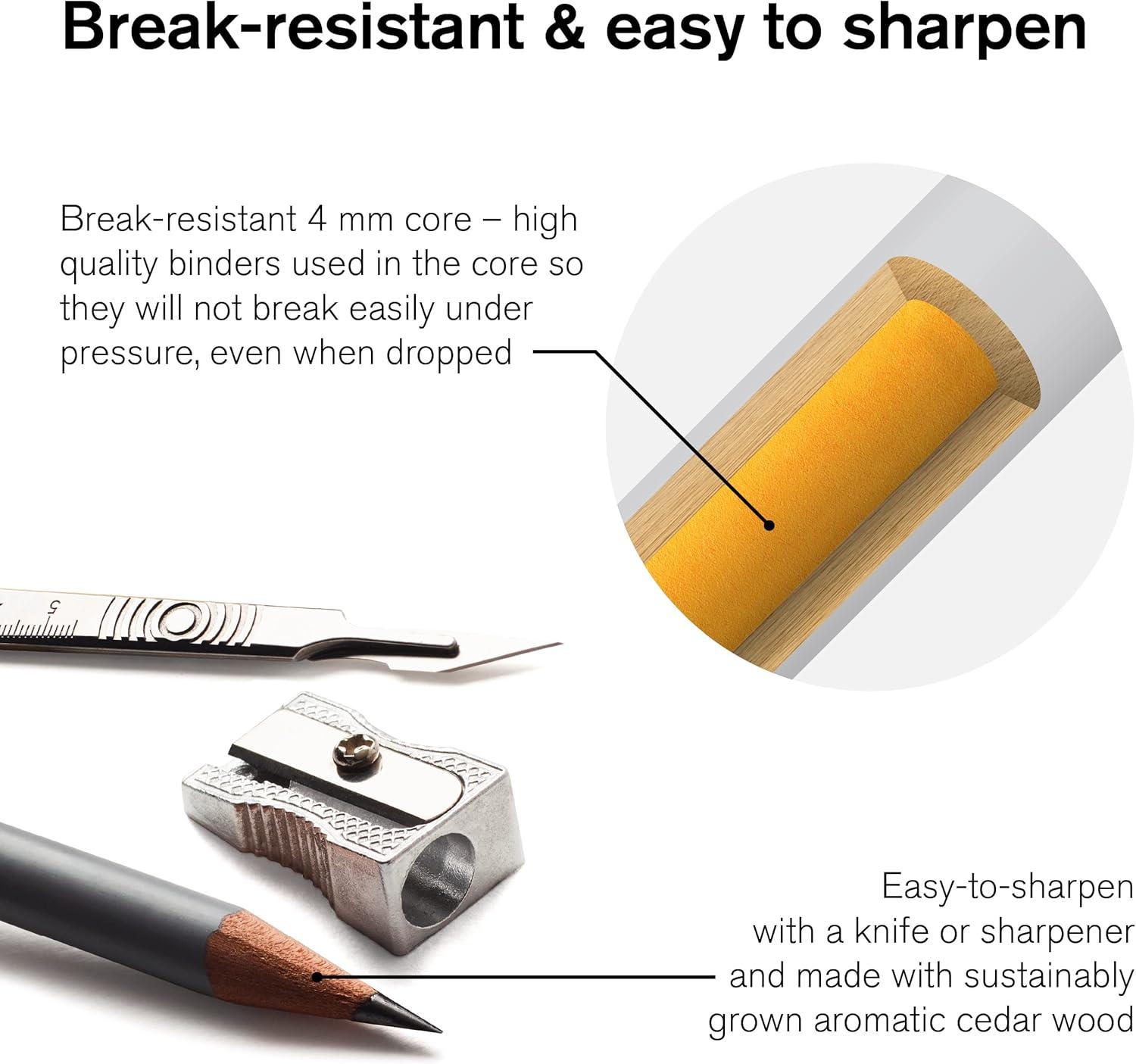 imageWinsor ampamp Newton Studio Collection Artist Pencils Graphite Pencils Set of 1224 Color Pencils