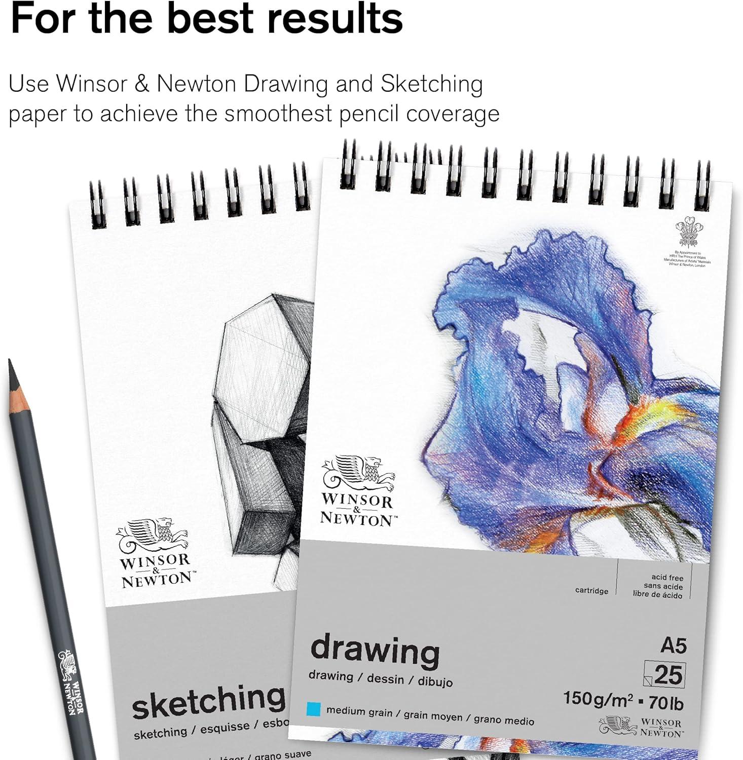 imageWinsor ampamp Newton Studio Collection Artist Pencils Graphite Pencils Set of 125 Graphite Pencils