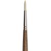 Winsor & Newton Artists’ Oil Synthetic Brush, Bright #12(Round #3)