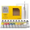 Winsor & Newton Galeria Acrylic Paint Set, 5 x 60ml (2-oz) Tubes, Pastel(10 x 60ml (2-oz) Complete Set)