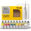 Winsor & Newton Galeria Acrylic Paint Set, 5 x 60ml (2-oz) Tubes, Pastel(10 x 60ml (2-oz) Complete Set)