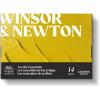 Winsor & Newton Galeria Acrylic Paint, Set of 10x12ml Tubes (includes 2 Brushes, Pad, Palette)