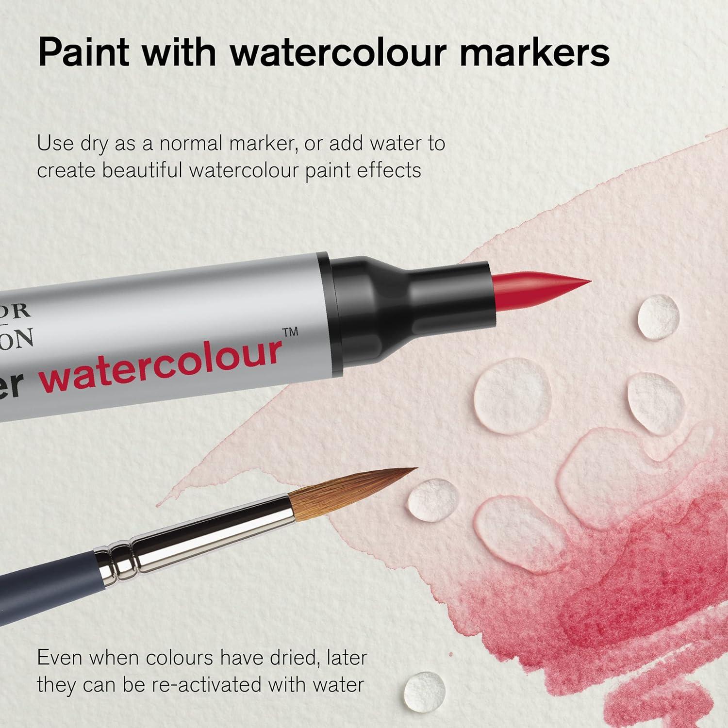 imageWinsor amp Newton ProMarker Watercolor Marker Set 24 Count Basic TonesLandscape Tones