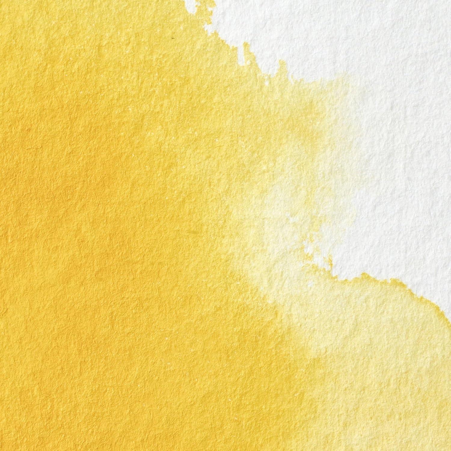 imageWinsor amp Newton Professional Watercolor 14ml 047oz Tube Lemon Yellow DeepCadmium Yellow Pale