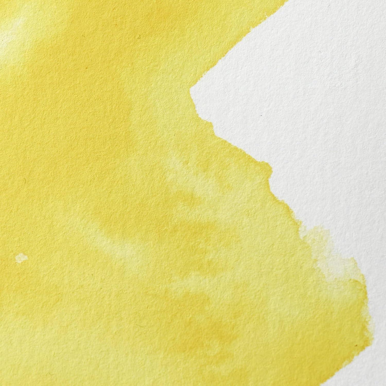 imageWinsor amp Newton Professional Watercolor 14ml 047oz Tube Lemon Yellow DeepCadmiumfree Lemon