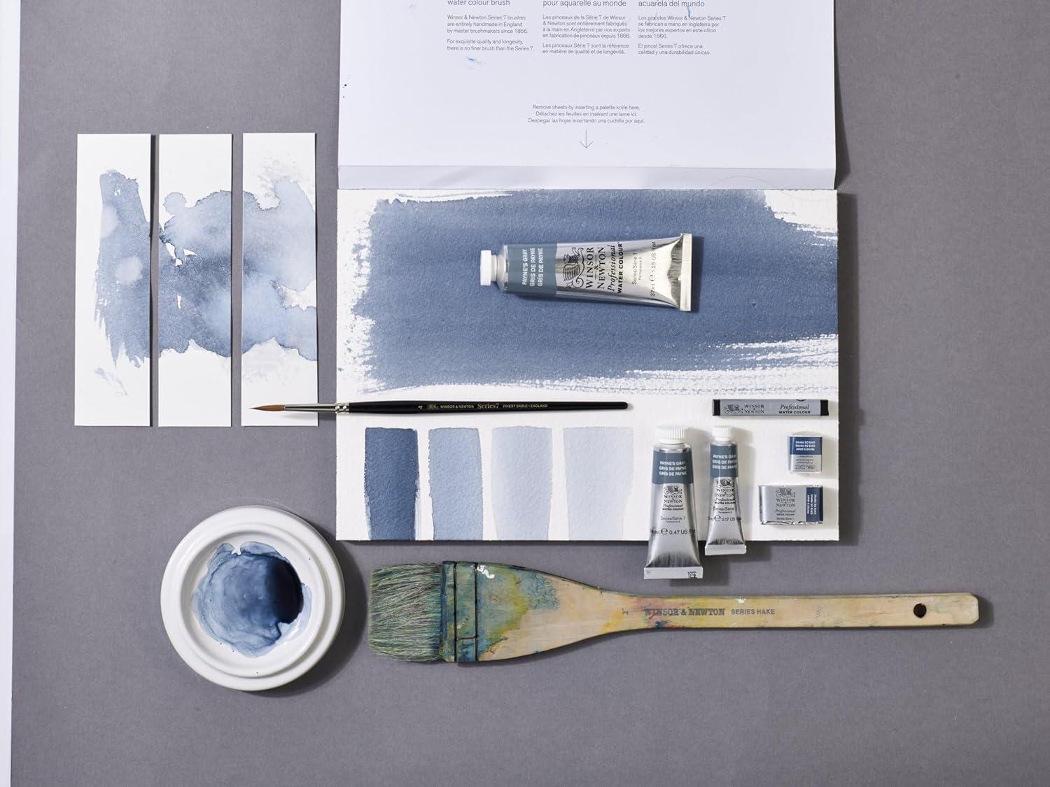 imageWinsor amp Newton Professional Watercolor 14ml 047oz Tube Lemon Yellow DeepPaynes Gray