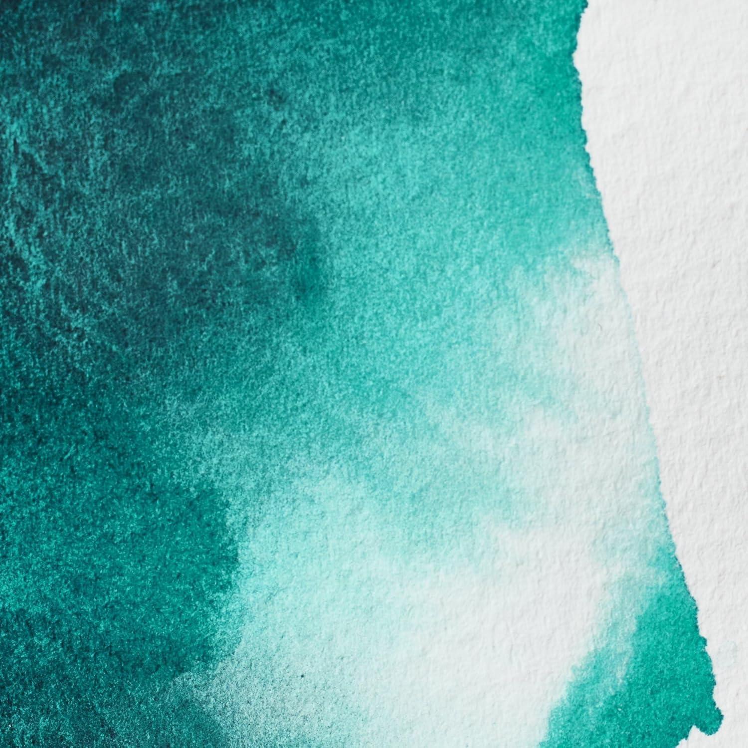 imageWinsor amp Newton Professional Watercolour Revival Collection Half Pan Tyrian PurpleAqua Green