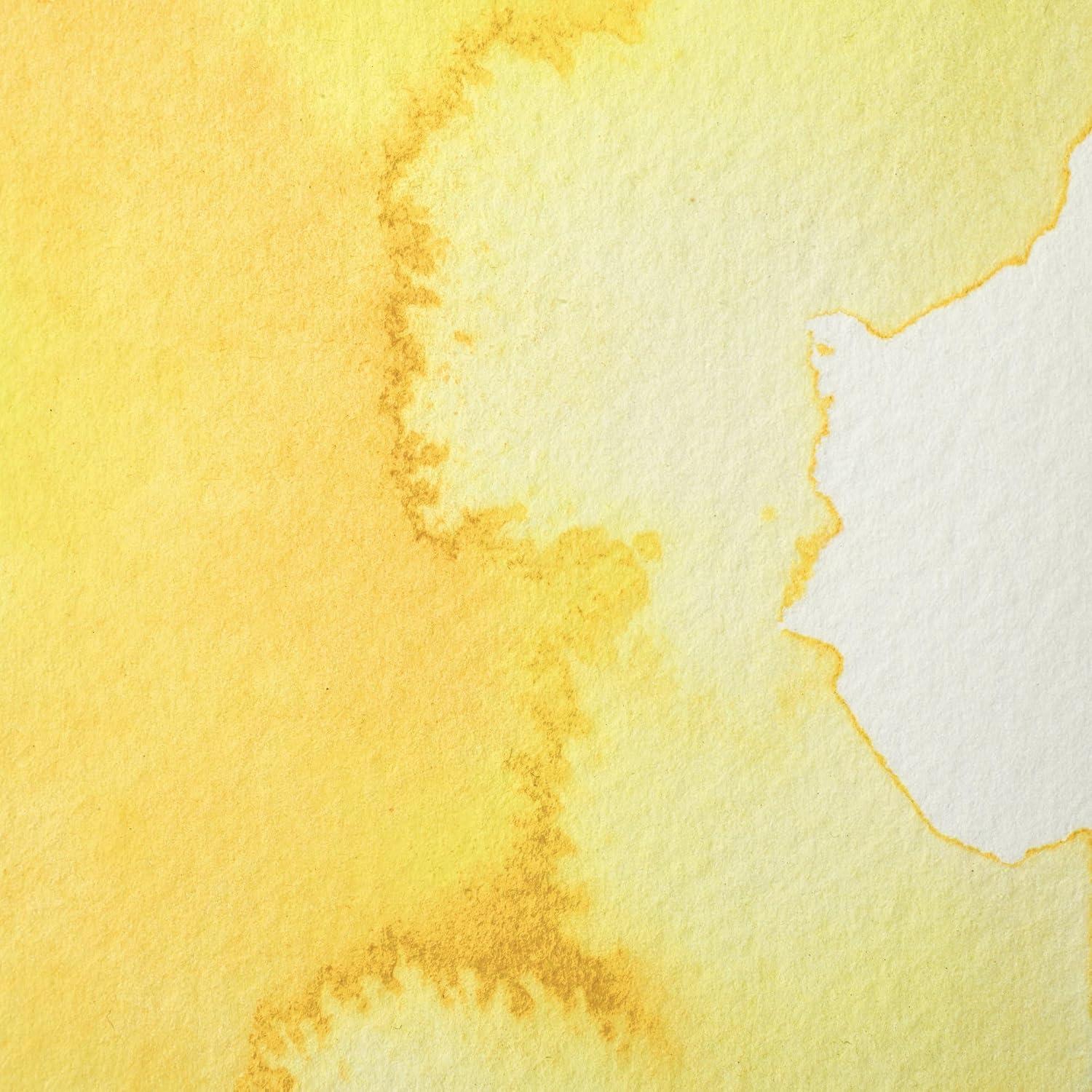 imageWinsor amp Newton Professional Watercolour Revival Collection Half Pan Tyrian PurpleAureolin Hue