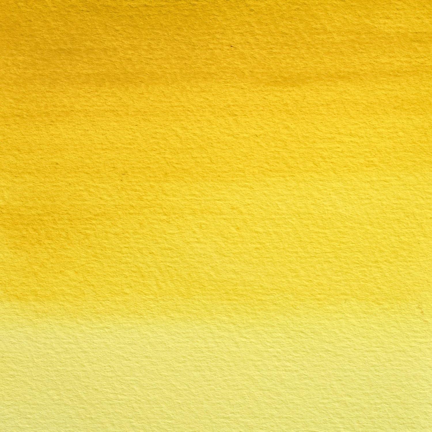 imageWinsor amp Newton Professional Watercolour Revival Collection Half Pan Tyrian PurpleAureolin Hue