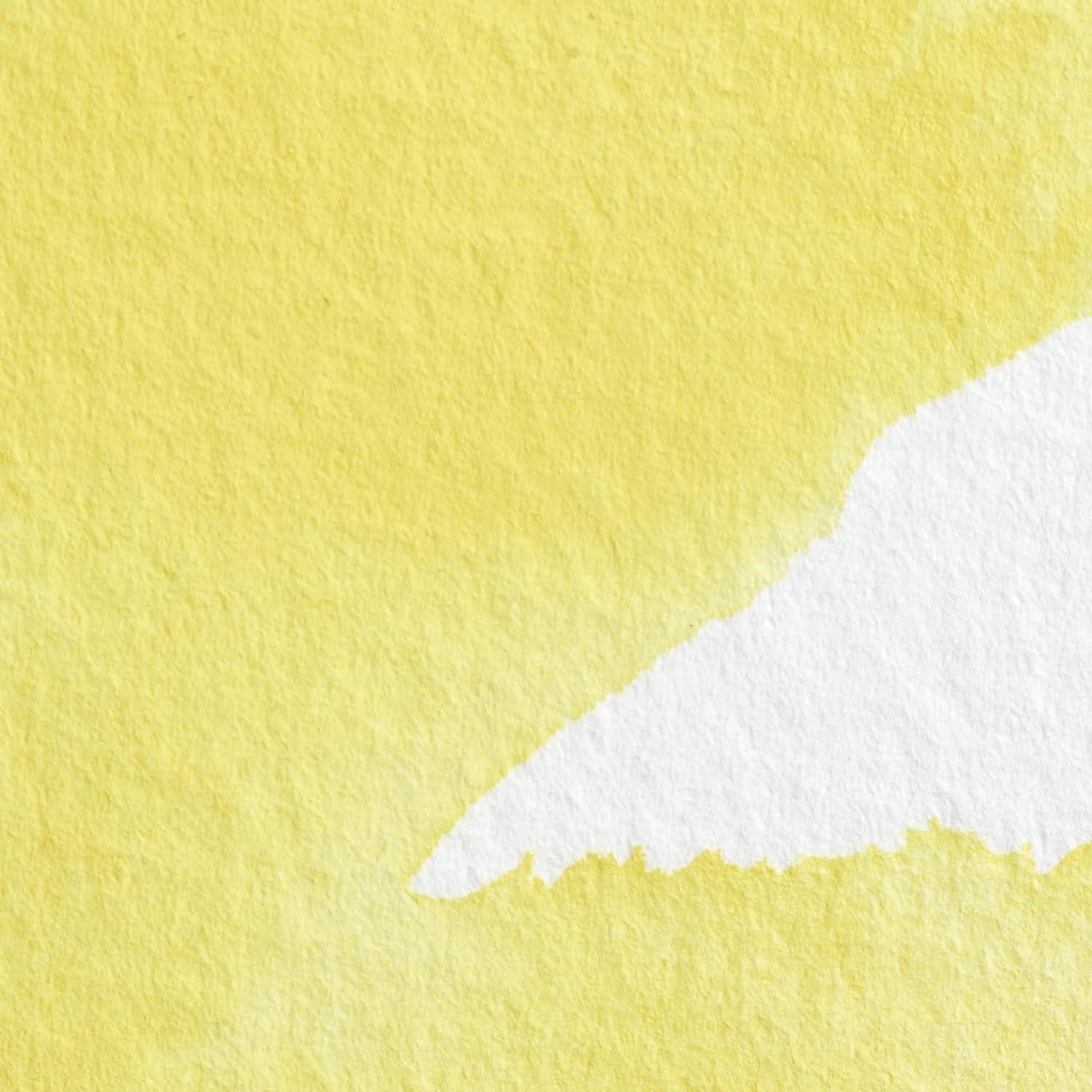 imageWinsor amp Newton Professional Watercolour Revival Collection Half Pan Tyrian PurpleBismuth Yellow