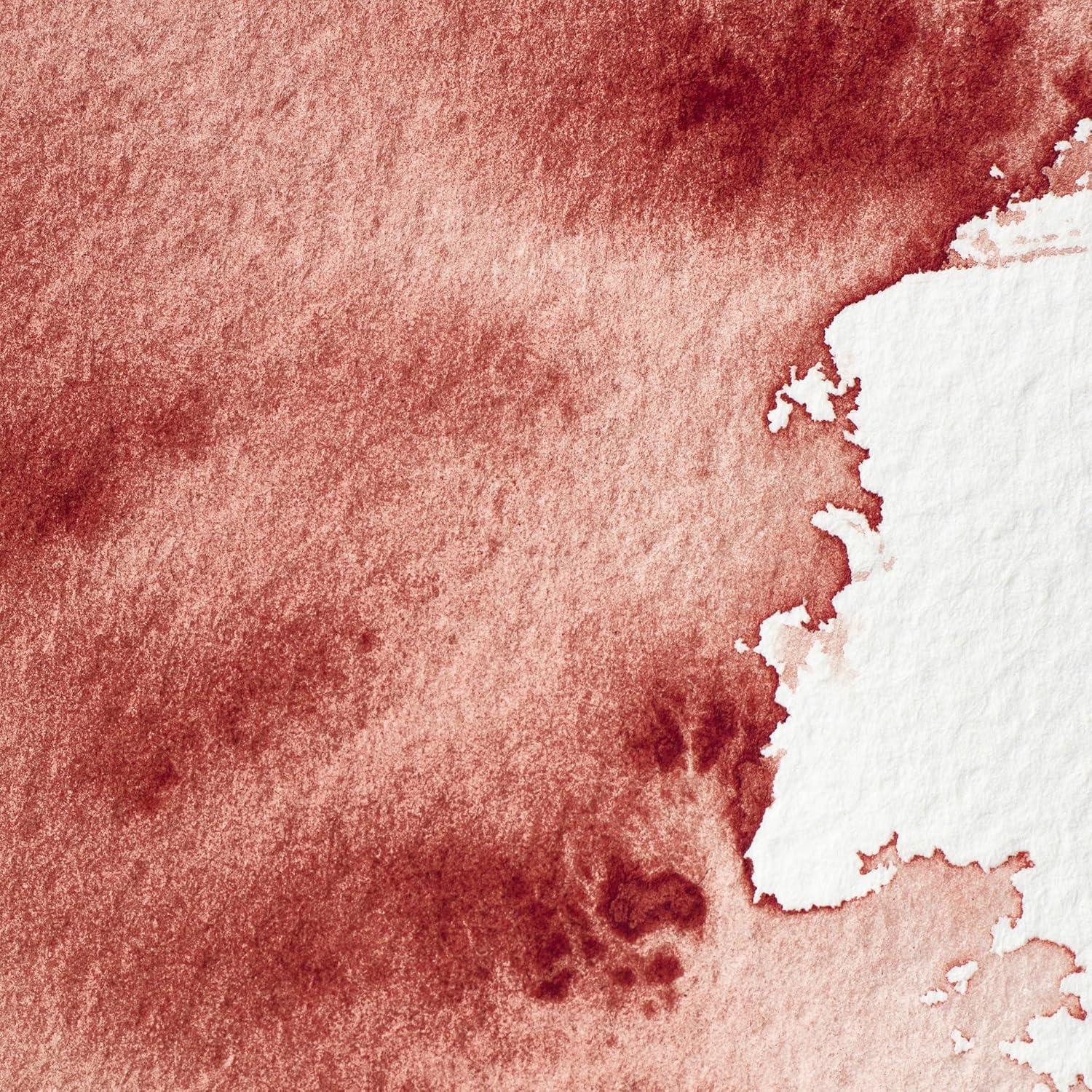 imageWinsor amp Newton Professional Watercolour Revival Collection Half Pan Tyrian PurpleBrown Madder
