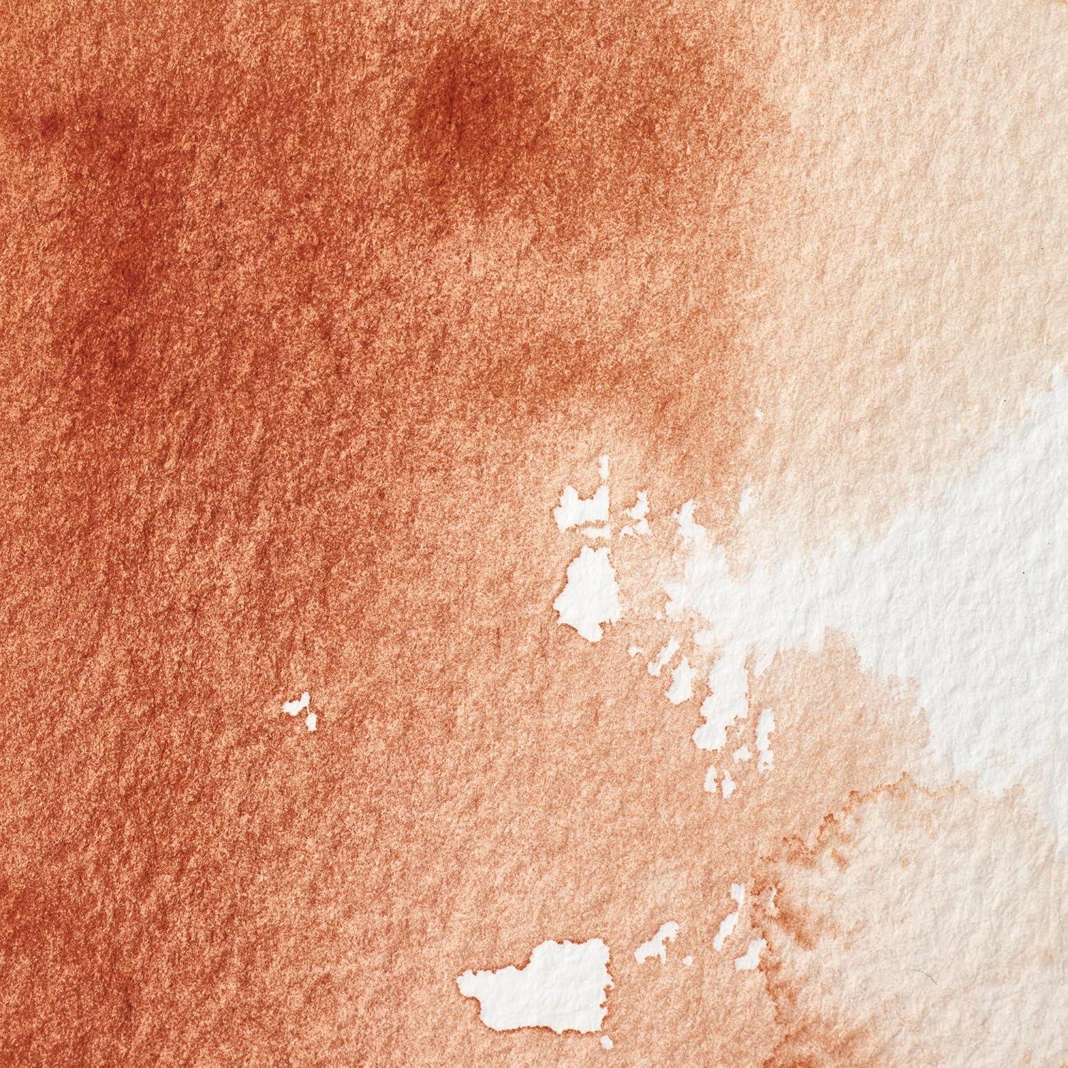 imageWinsor amp Newton Professional Watercolour Revival Collection Half Pan Tyrian PurpleBurnt Sienna