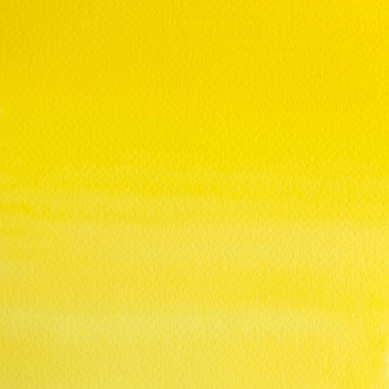 imageWinsor amp Newton Professional Watercolour Revival Collection Half Pan Tyrian PurpleCadmium Lemon