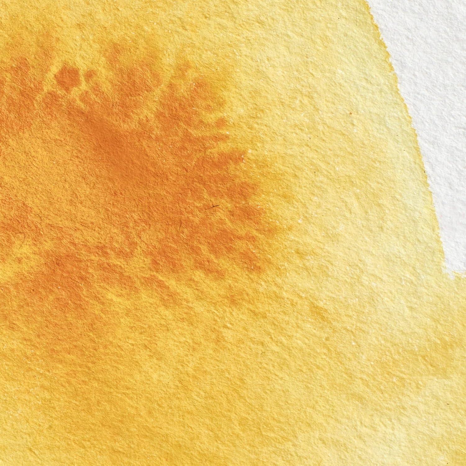 imageWinsor amp Newton Professional Watercolour Revival Collection Half Pan Tyrian PurpleCadmium Yellow Deep