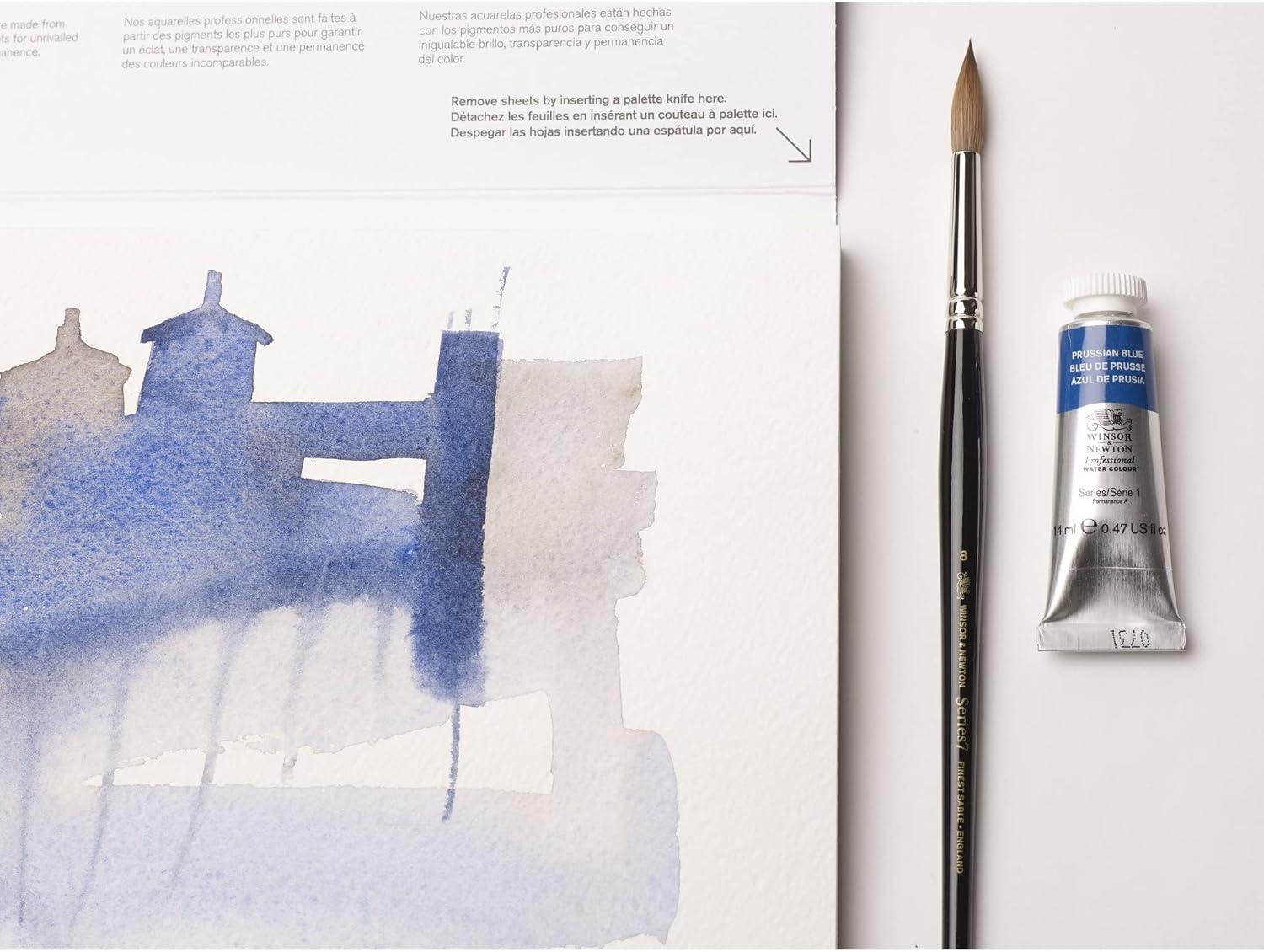 imageWinsor amp Newton Professional Watercolour Revival Collection Half Pan Tyrian PurpleCadmium Yellow Orange