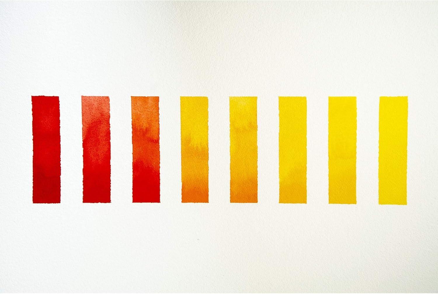 imageWinsor amp Newton Professional Watercolour Revival Collection Half Pan Tyrian PurpleCadmiumfree Orange