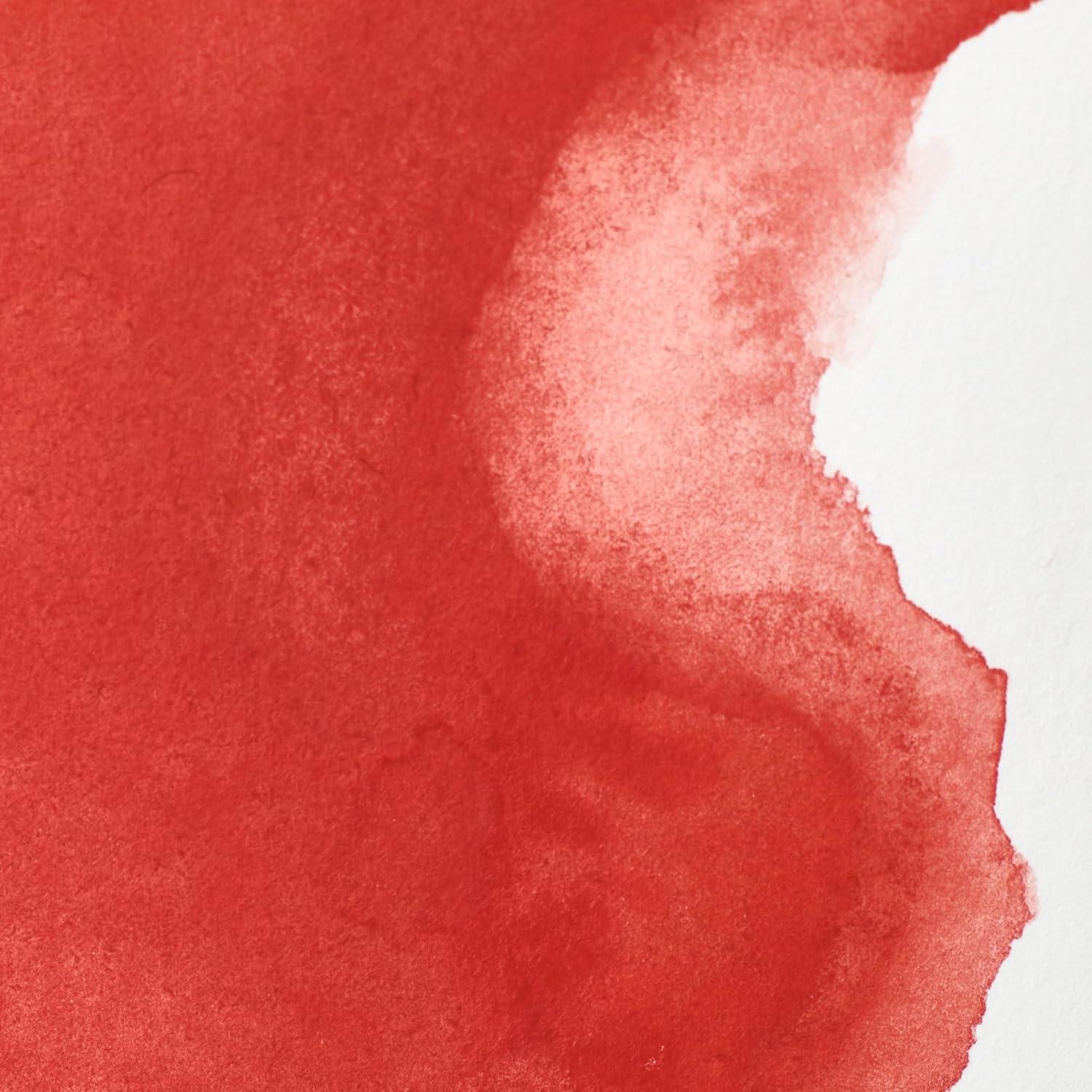 imageWinsor amp Newton Professional Watercolour Revival Collection Half Pan Tyrian PurpleCadmiumfree Red