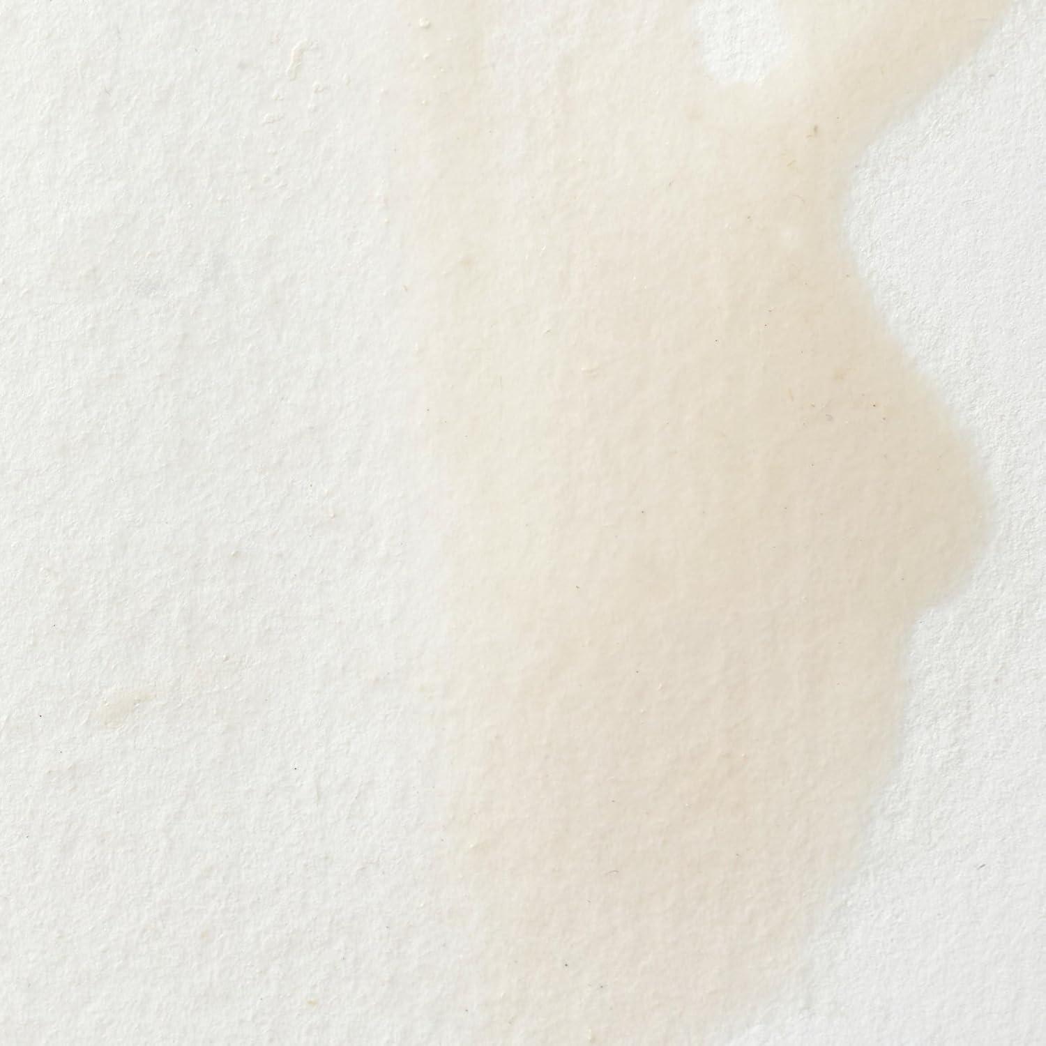 imageWinsor amp Newton Professional Watercolour Revival Collection Half Pan Tyrian PurpleChinese White