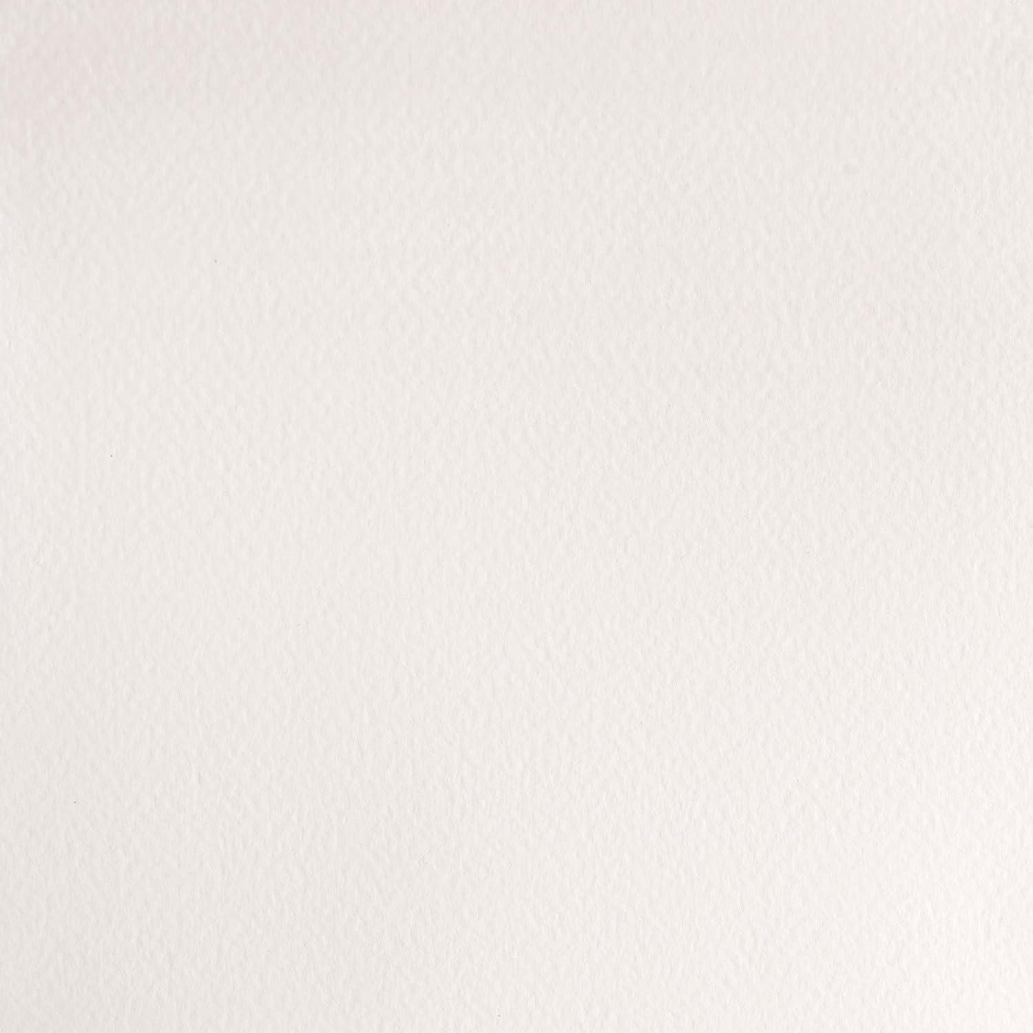 imageWinsor amp Newton Professional Watercolour Revival Collection Half Pan Tyrian PurpleChinese White