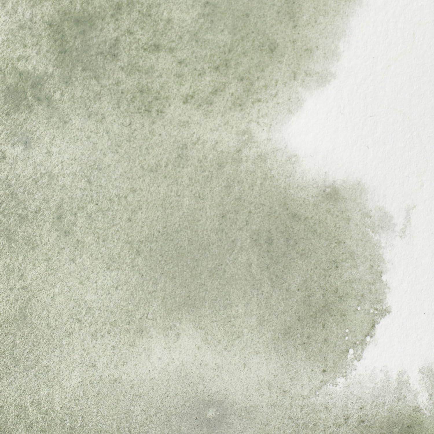 imageWinsor amp Newton Professional Watercolour Revival Collection Half Pan Tyrian PurpleDavys Gray