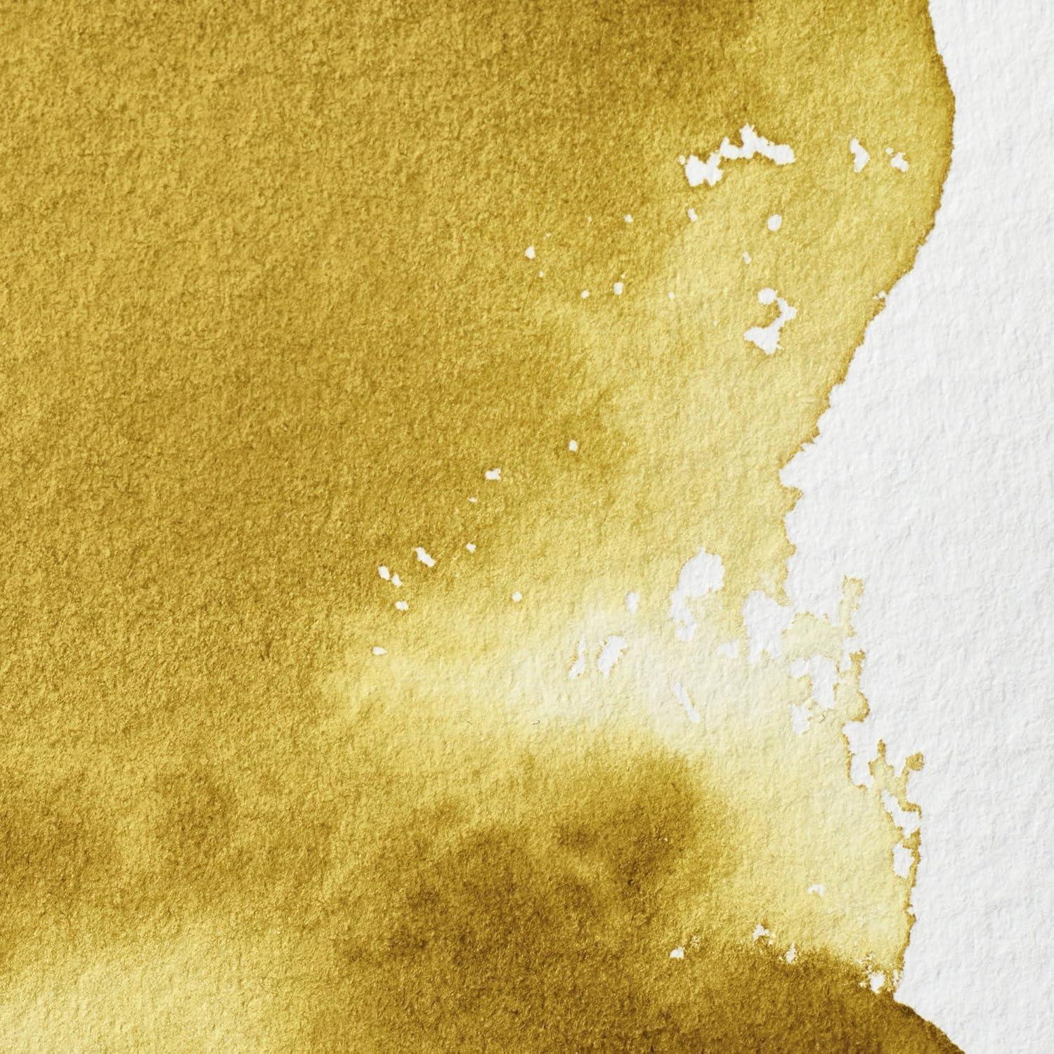 imageWinsor amp Newton Professional Watercolour Revival Collection Half Pan Tyrian PurpleGreen Gold