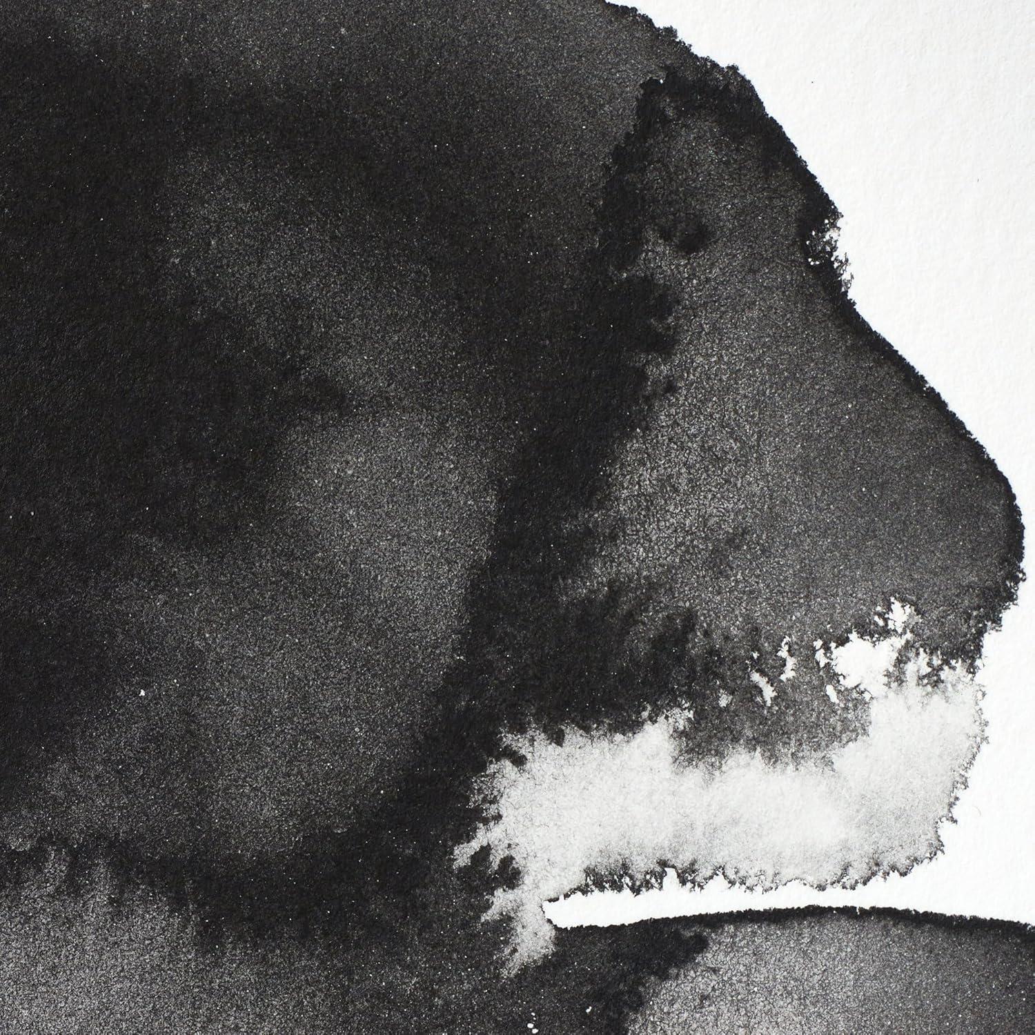imageWinsor amp Newton Professional Watercolour Revival Collection Half Pan Tyrian PurpleLamp Black