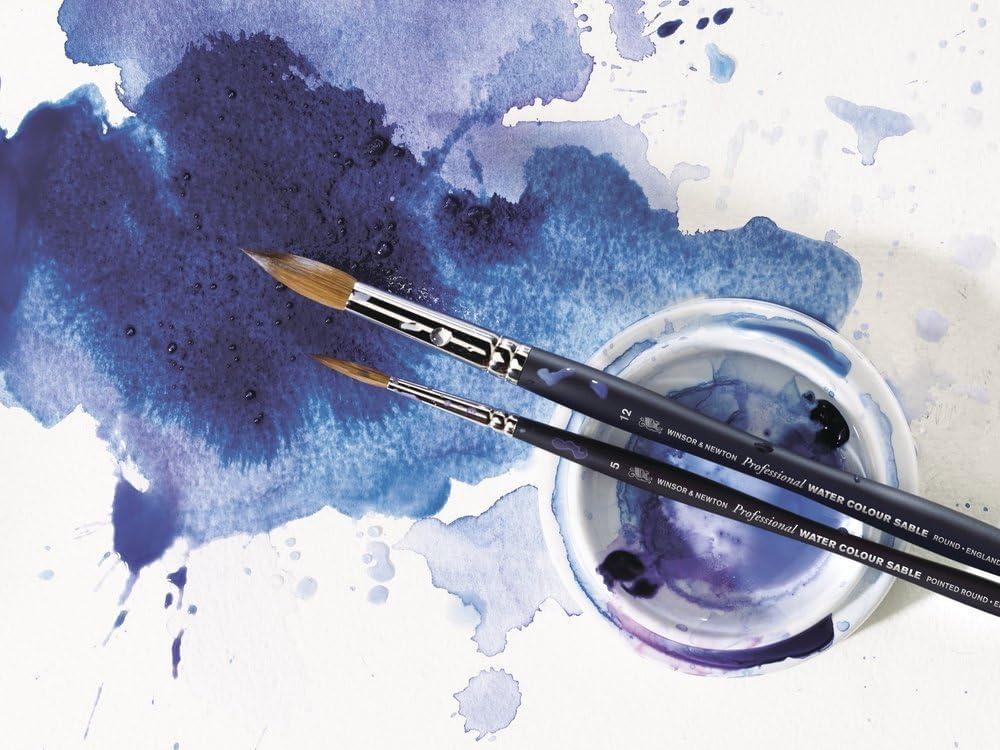 imageWinsor amp Newton Professional Watercolour Revival Collection Half Pan Tyrian PurpleNew Gamboge