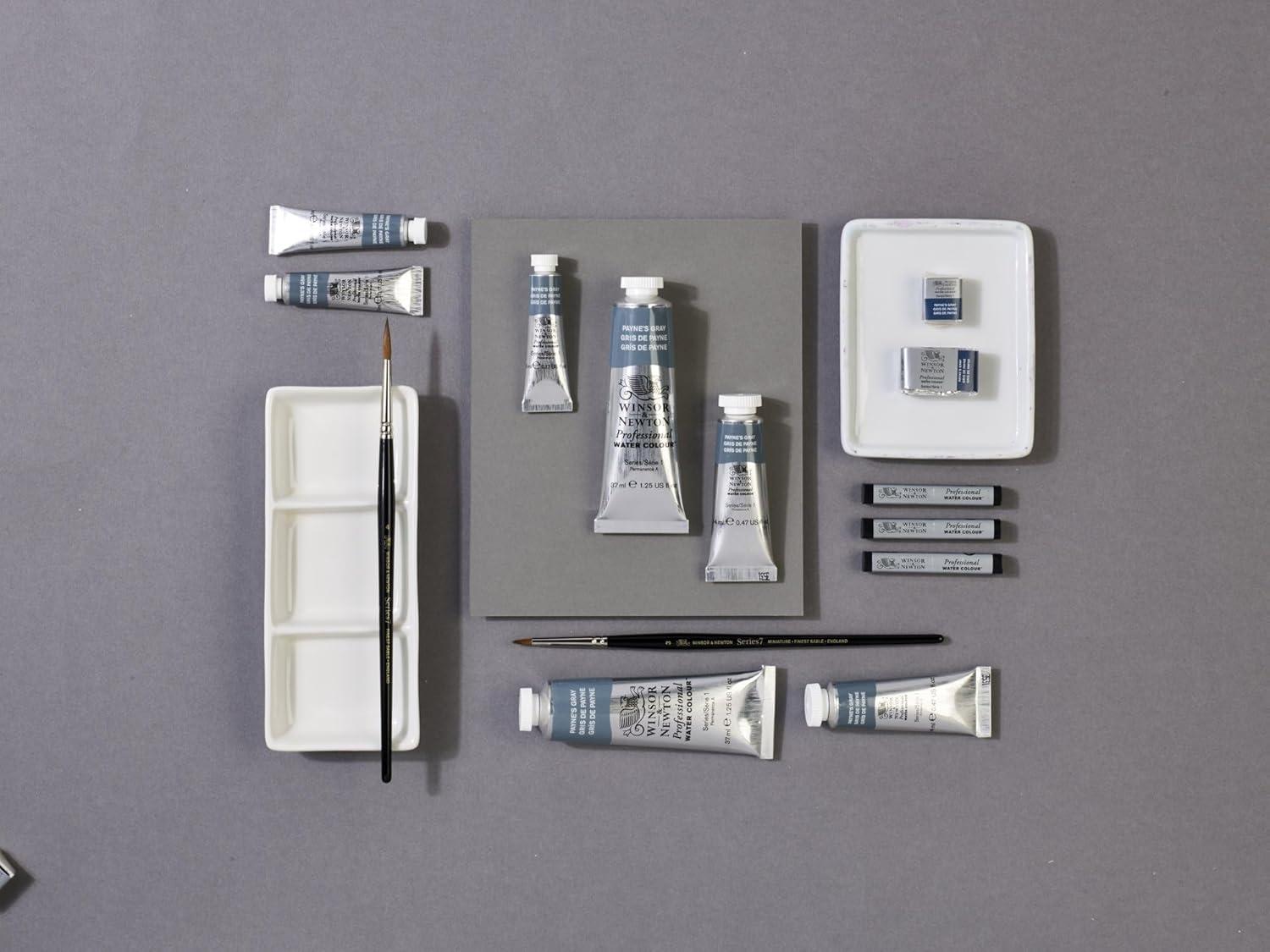 imageWinsor amp Newton Professional Watercolour Revival Collection Half Pan Tyrian PurplePaynes Gray