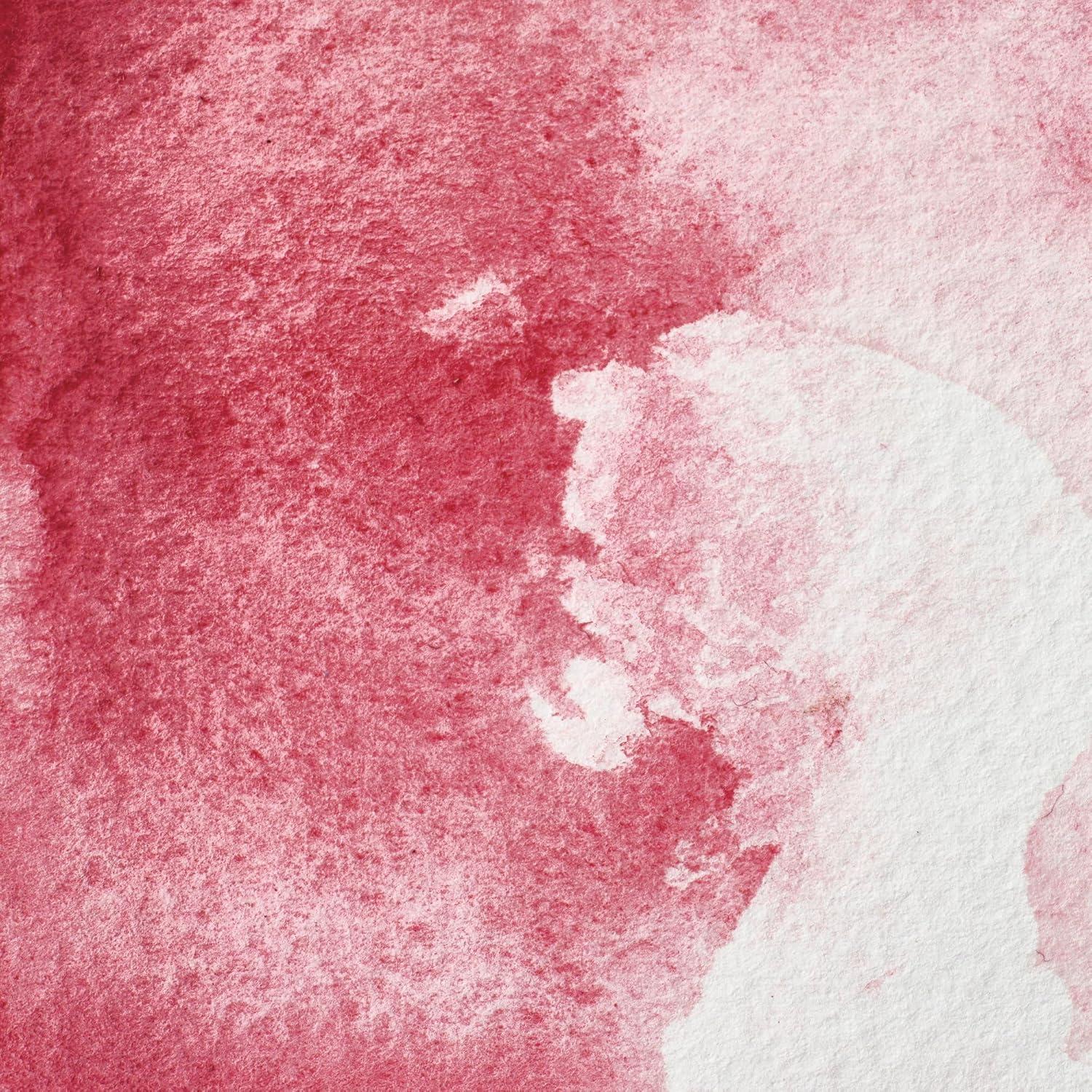 imageWinsor amp Newton Professional Watercolour Revival Collection Half Pan Tyrian PurpleRose Madder Genuine