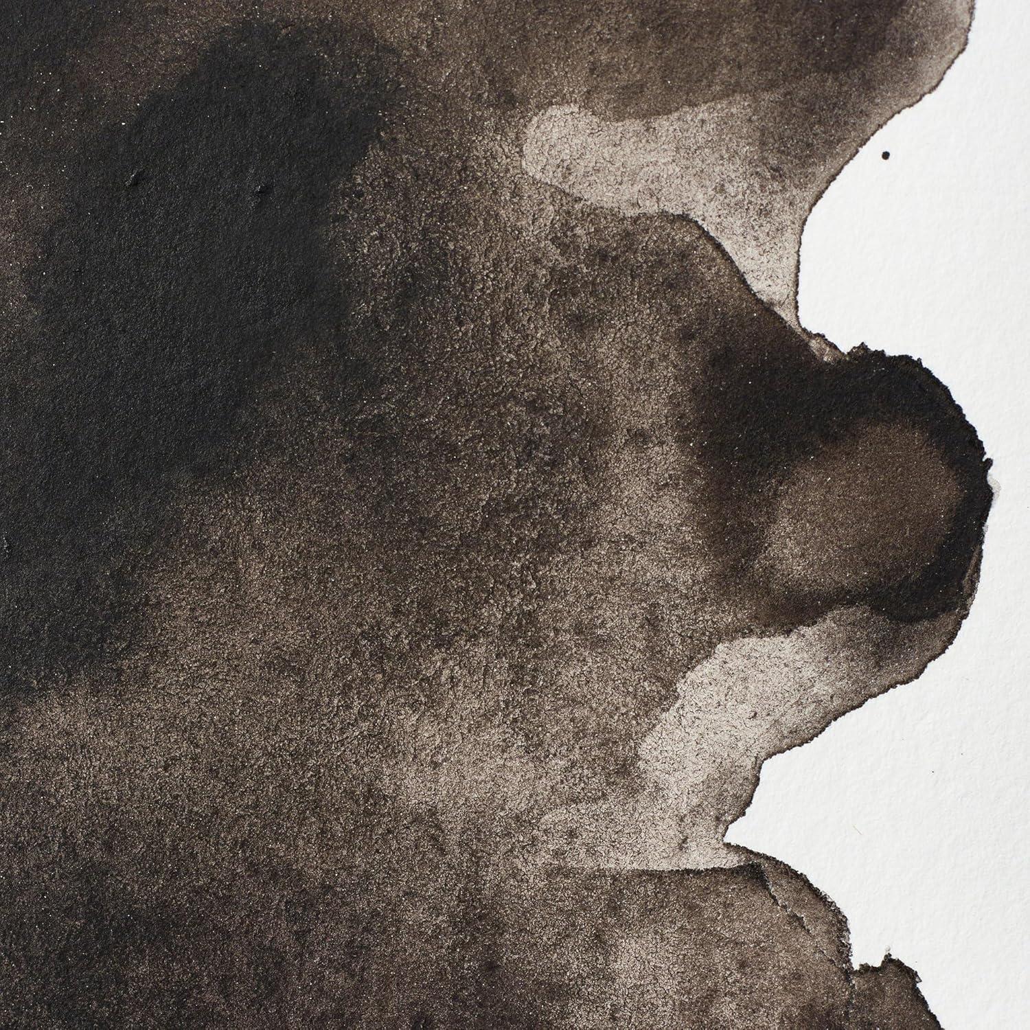 imageWinsor amp Newton Professional Watercolour Revival Collection Half Pan Tyrian PurpleSepia