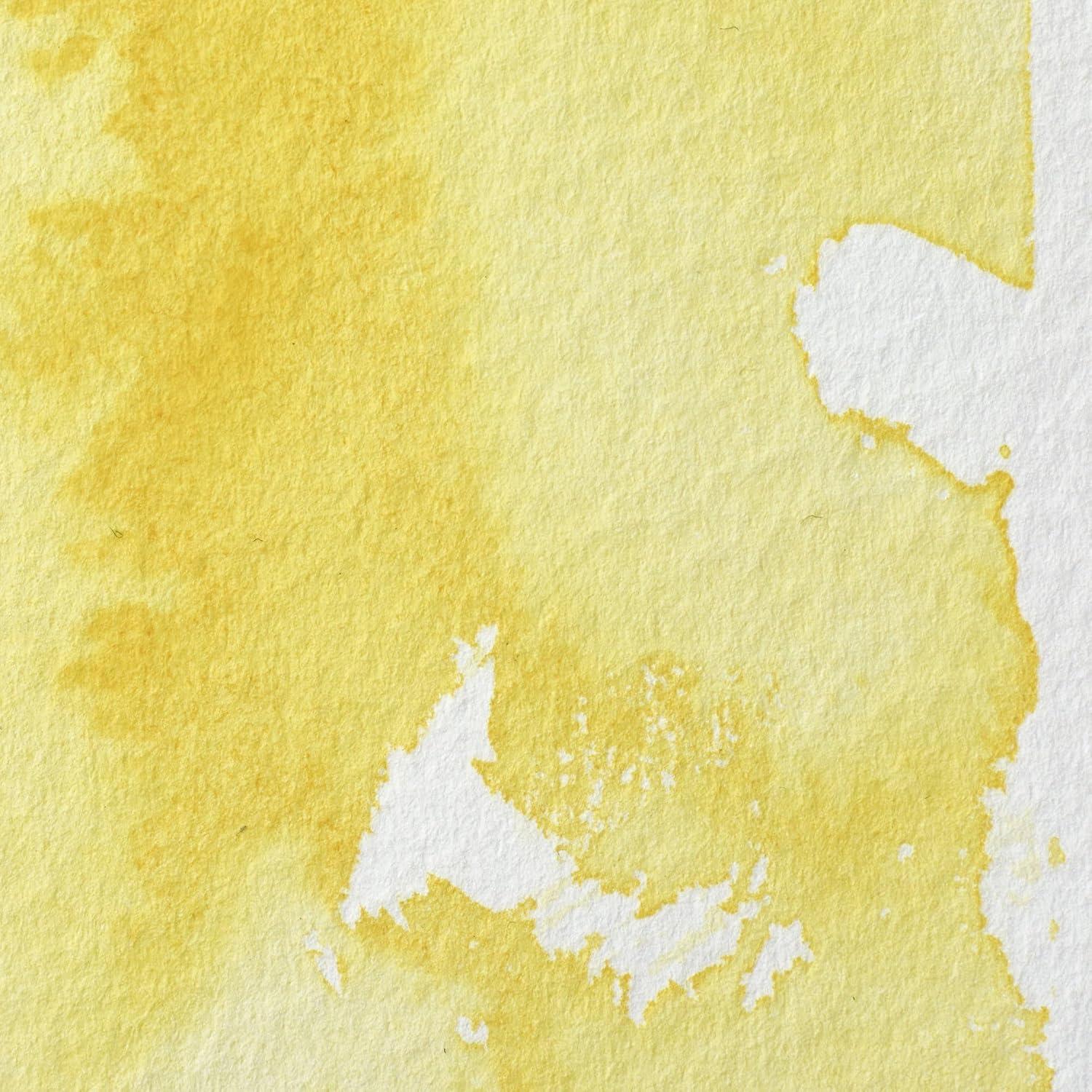 imageWinsor amp Newton Professional Watercolour Revival Collection Half Pan Tyrian PurpleTransparent Yellow