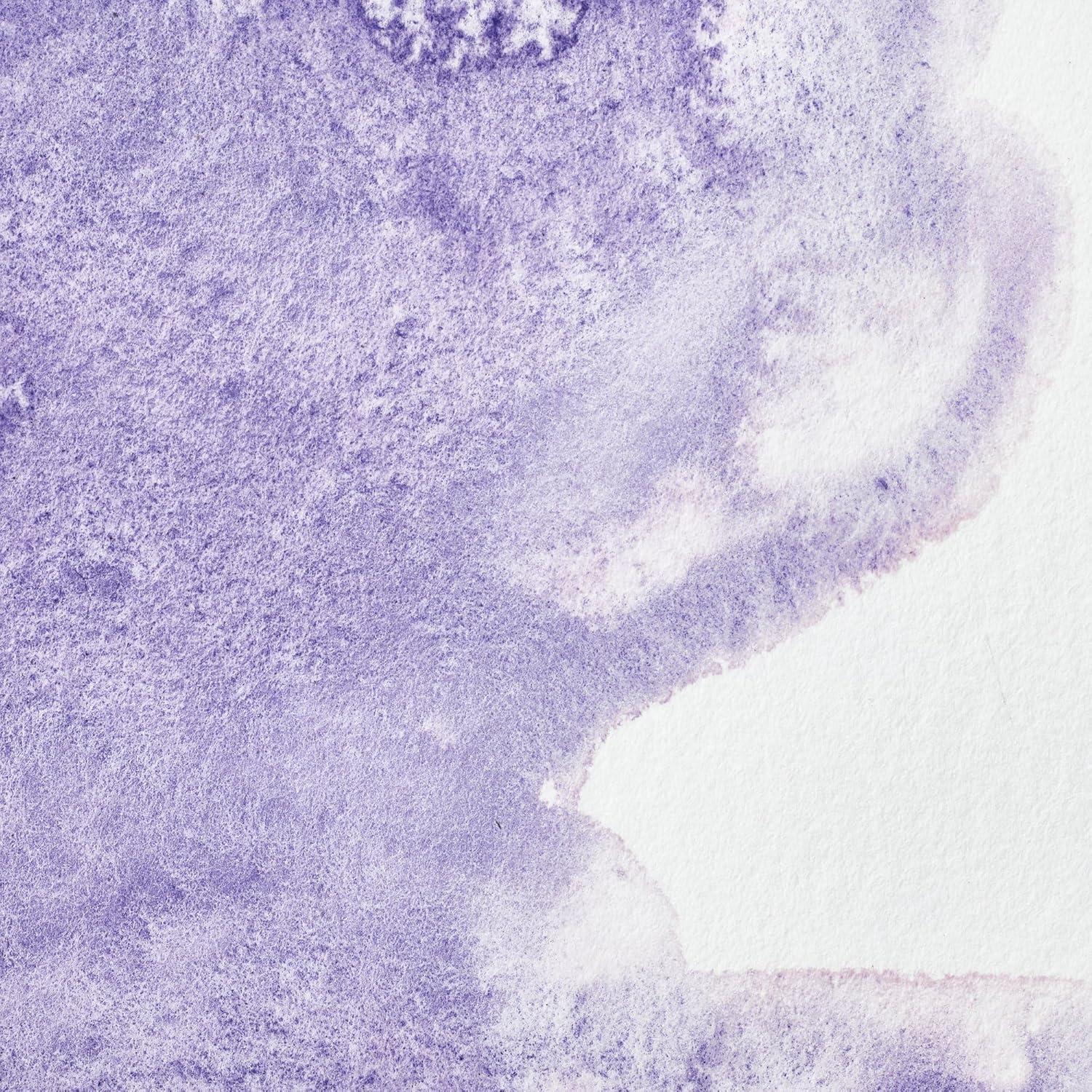 imageWinsor amp Newton Professional Watercolour Revival Collection Half Pan Tyrian PurpleUltramarine Violet