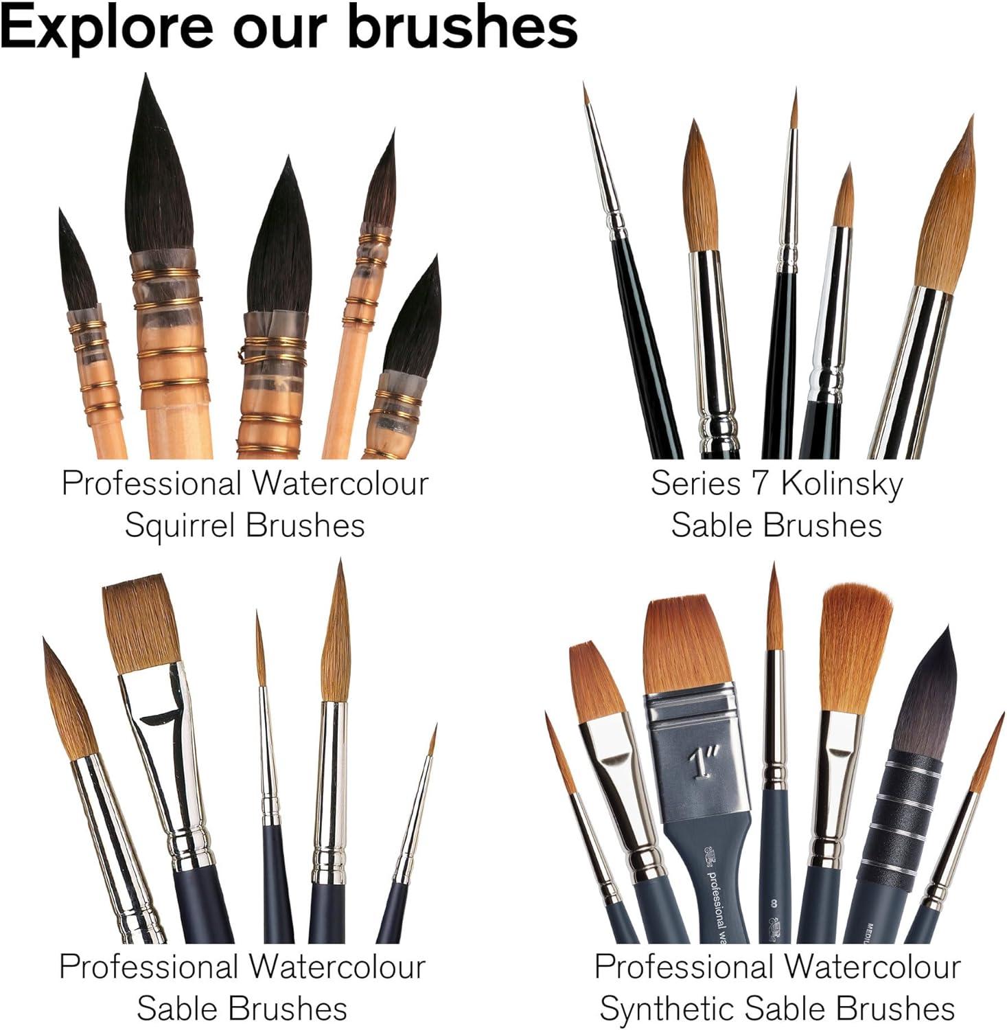imageWinsor amp Newton Professional Watercolour Revival Collection Half Pan Tyrian PurpleVandyke Brown