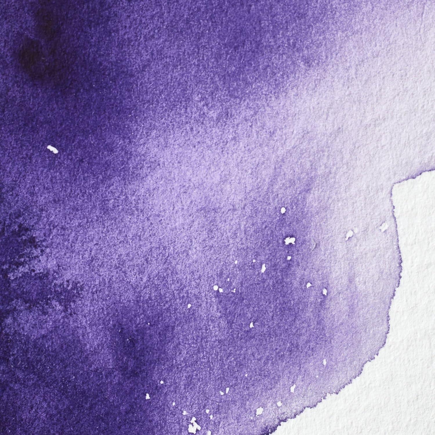 imageWinsor amp Newton Professional Watercolour Revival Collection Half Pan Tyrian PurpleWinsor Violet Dioxazine