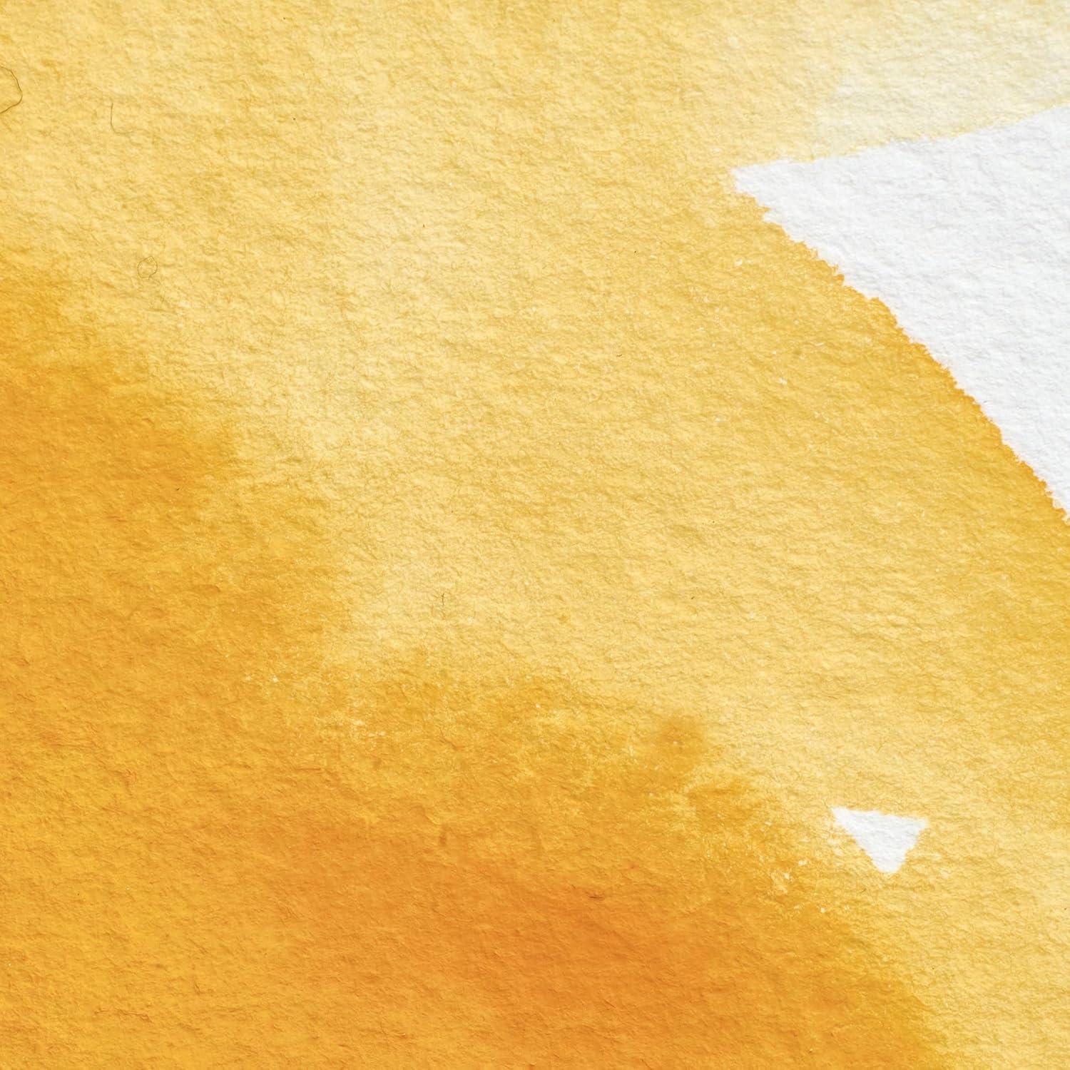 imageWinsor amp Newton Professional Watercolour Revival Collection Half Pan Tyrian PurpleWinsor Yellow Deep