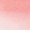 Winsor & Newton ProMarker Watercolor Marker, Alizarin Crimson Hue(Pale Rose)