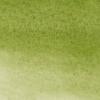 Winsor & Newton ProMarker Watercolor Marker, Alizarin Crimson Hue(Sap Green)