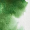 Winsor & Newton Professional Watercolor, 14ml (0.47-oz) Tube, Lemon Yellow Deep(Hooker’s Green)