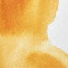 Winsor & Newton Professional Watercolor, 14ml (0.47-oz) Tube, Lemon Yellow Deep(Indian Yellow)