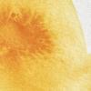 Winsor & Newton Professional Watercolour, Revival Collection, Half Pan, Tyrian Purple(Cadmium Yellow Deep)