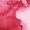 Winsor & Newton Professional Watercolour, Revival Collection, Half Pan, Tyrian Purple(Permanent Rose)