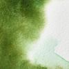 Winsor & Newton Professional Watercolour, Revival Collection, Half Pan, Tyrian Purple(Permanent Sap Green)