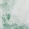 Winsor & Newton Professional Watercolour, Revival Collection, Half Pan, Tyrian Purple(Terre Verte)