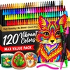 ARTISTRO 12 Metallic Dual-Tip Acrylic Paint Markers – Paint Pens Set with Dot & Fine Tips for Fabric, Rock, Glass, Wood, Coloring Books – Arts & Crafts Gift – Classroom Must Haves & School Supplies(120)