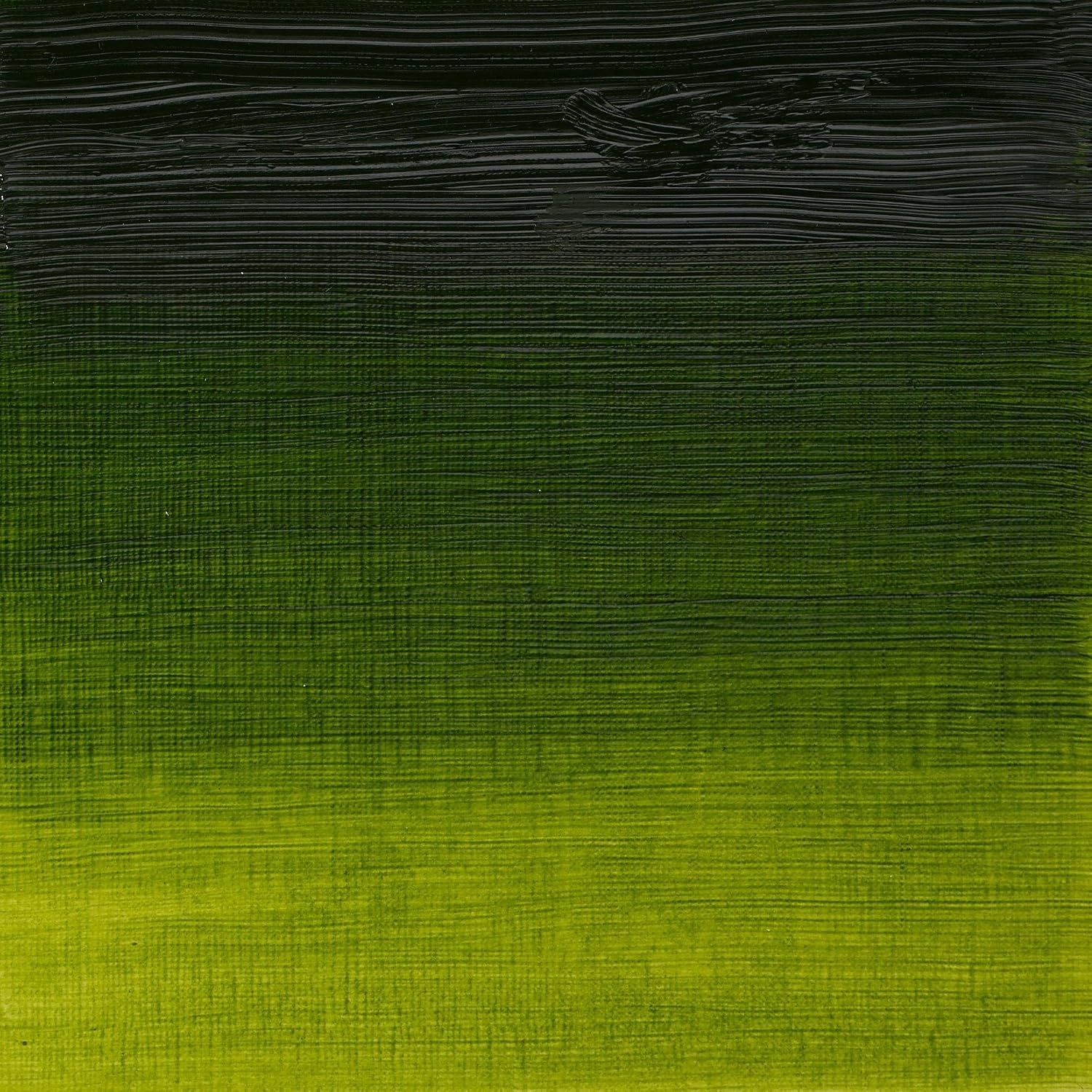 image:imageWinsor amp Newton Artists Oil Paint 37ml Tube Burnt SiennaSap Green