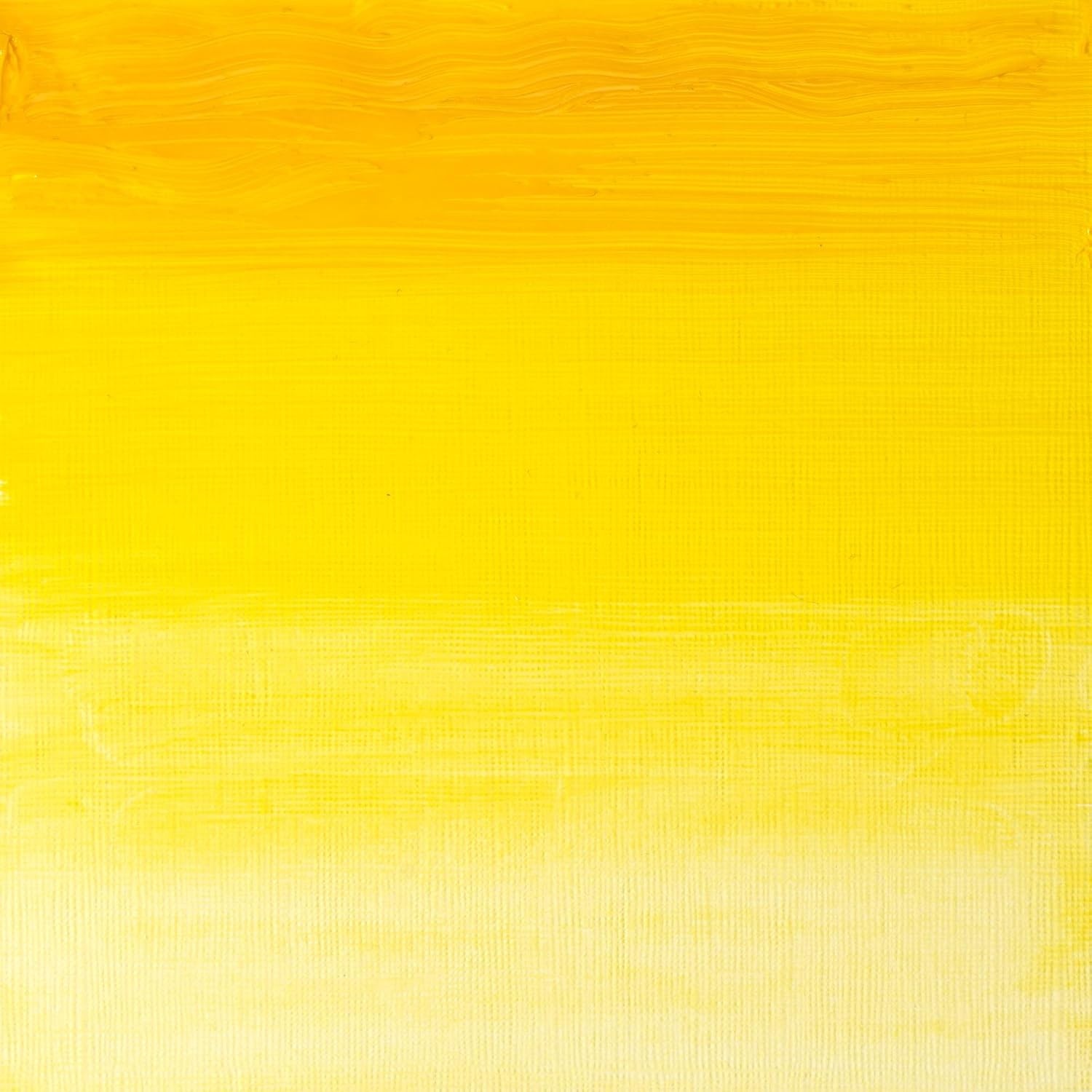 image:imageWinsor amp Newton Artists Oil Paint 37ml Tube Burnt SiennaTransparent Yellow
